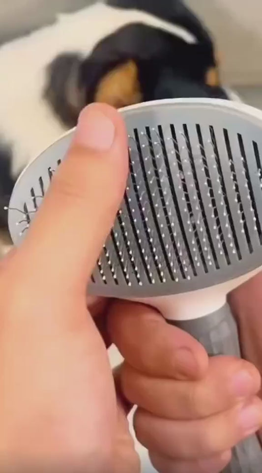 Elimine os pelos do seu pet em segundos